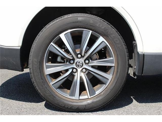 e35c8ad9ec04145cbb30237abe727928.jpg
