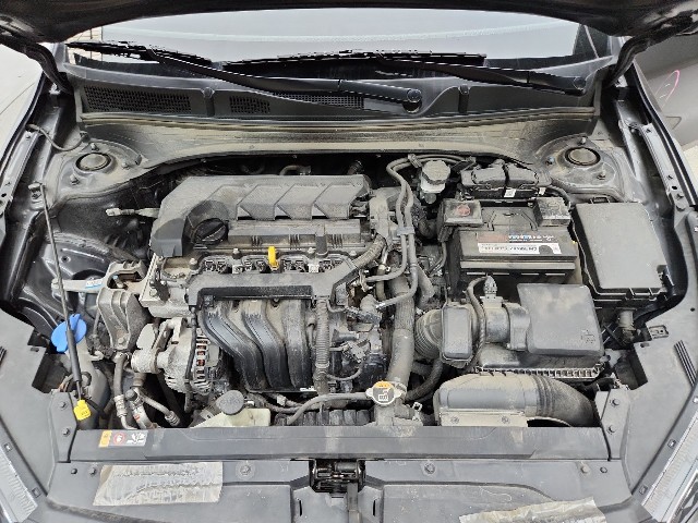 lotterental_182039623_gWlsT_3.jpg