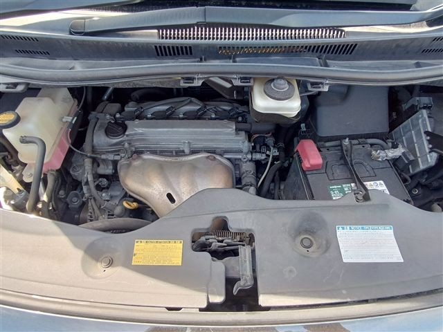 08.jpg