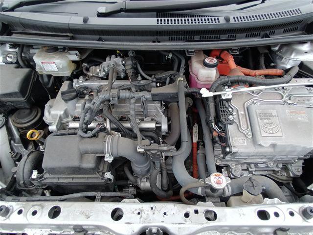 08.jpg