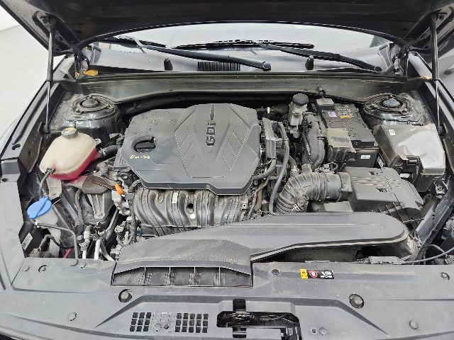 lotterental_14274779_l36ra_1.jpg