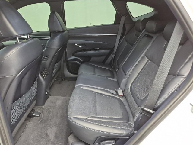 6081501146R12.jpg