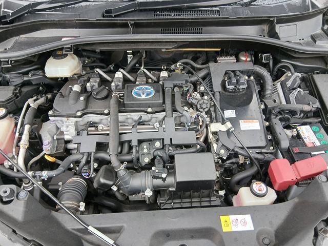 08.jpg
