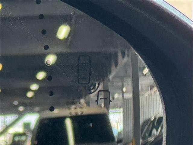 22089486_carP_l_5.jpg