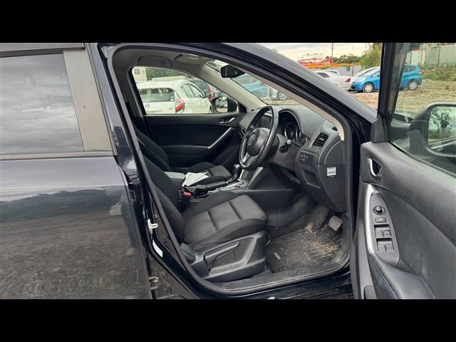 12.jpg