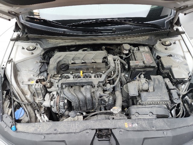 lotterental_202841824_eV81q_9.jpg