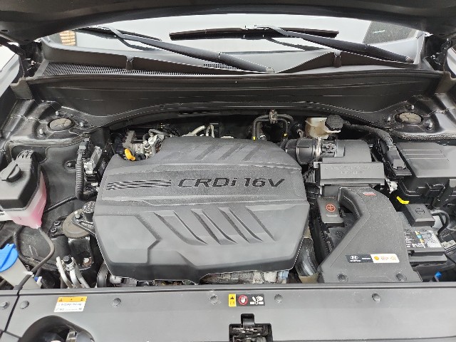 lotterental_162854527_UFf3e_6.jpg
