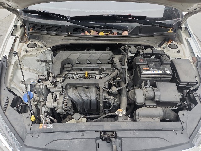 lotterental_095518742_BlIwv_7.jpg