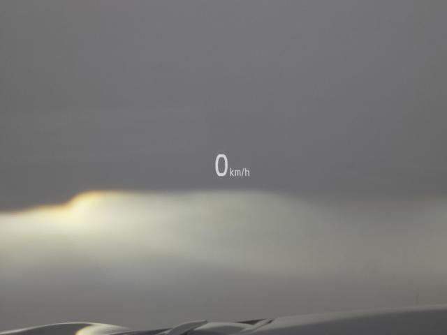 c912c4bce26074bdfb766f3779a47167.jpeg