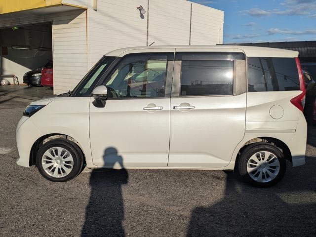 26967862_carP_l_6.jpg