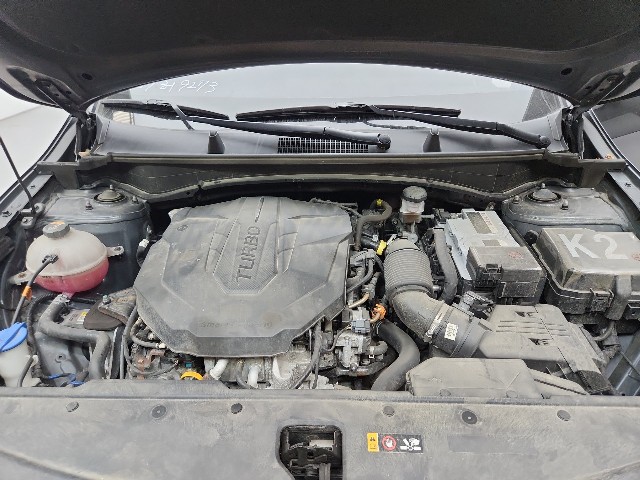 lotterental_214035802_M5vrG_8.jpg