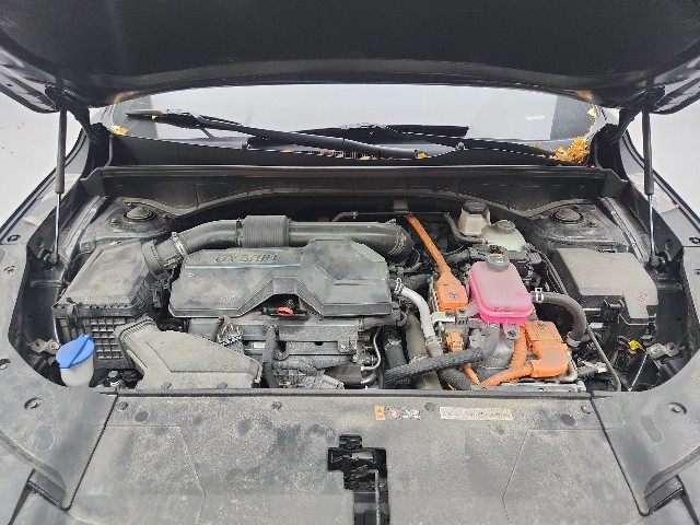 lotterental_22050583_GHSjL_10.jpg