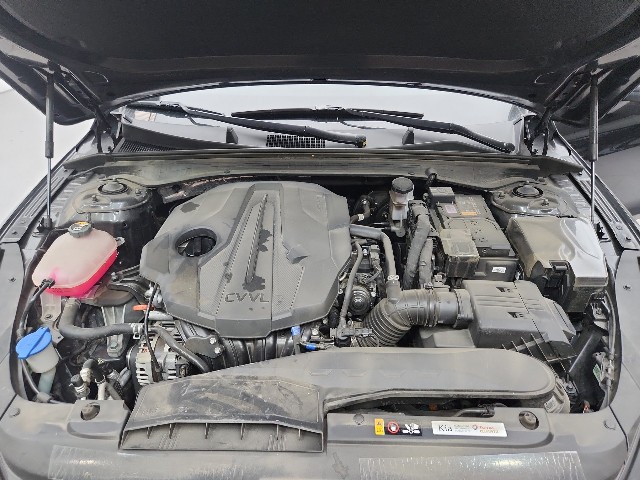lotterental_205942741_txOmy_6.jpg