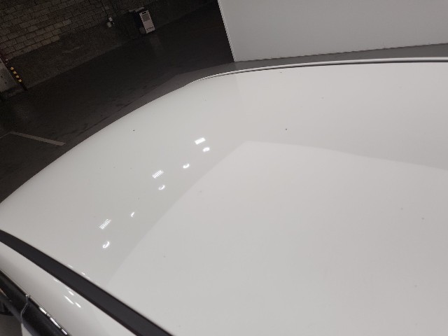 lotterental_235122413_fZ2gb_8.jpg