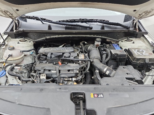 lotterental_214528467_Y3o5X_2.jpg