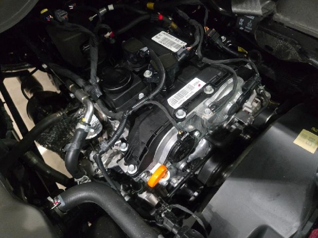 d238a11a0f3e7a8c140ba15c6dc8ede2.jpeg