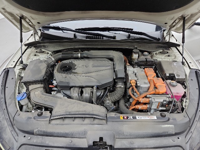 lotterental_225620295_FZ3lE_9.jpg