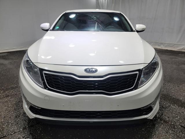 fe6da754a419036bd52bd00288509892.jpg