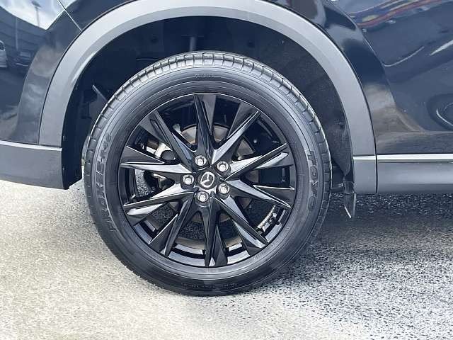 ade8aaf5c81e083ae39c250d38447262.jpg