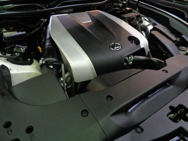 bf344a87258e478001775fb2b73b3218.jpg