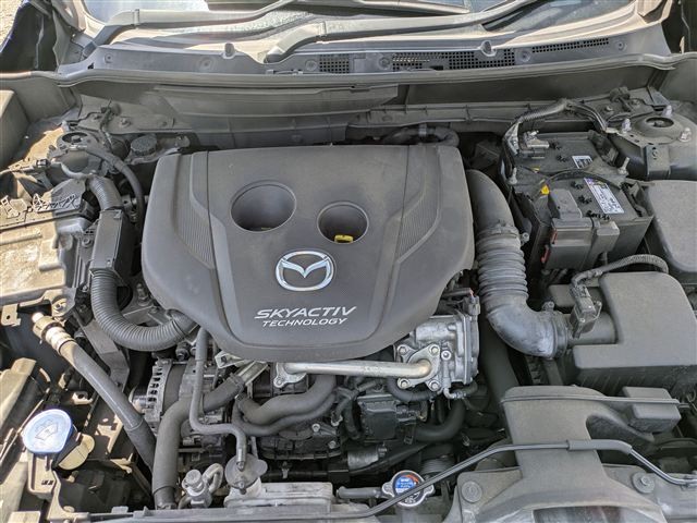 08.jpg