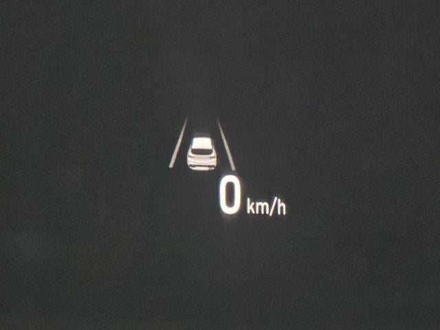 39a97d54b019015998165884584f066e.jpeg
