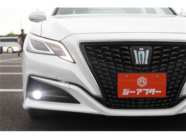 90ff452cc53a4d12ab6099cd4f4b13b8.jpg