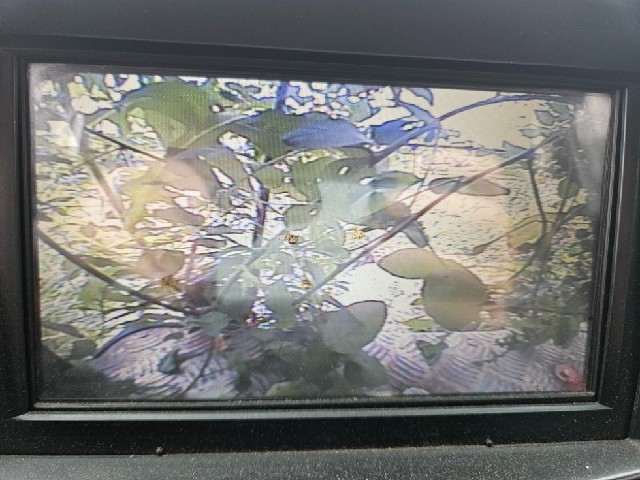 142de05daf408069326fecc19794afe6.jpeg