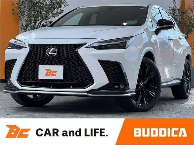 01.jpg