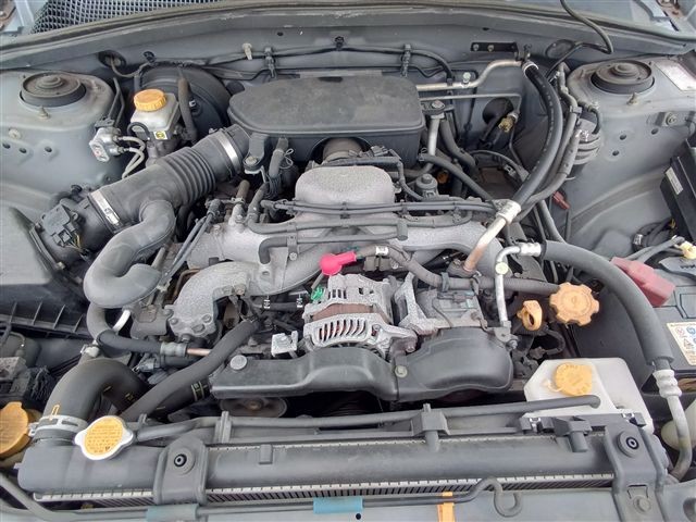 08.jpg