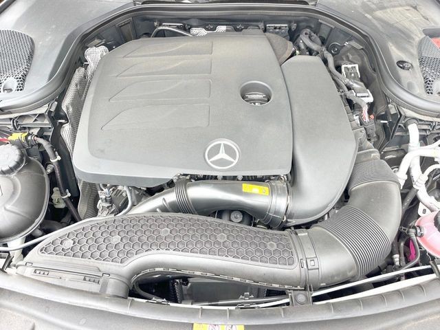 703333ebc3aeba81496ebbe38ec000b7.jpg