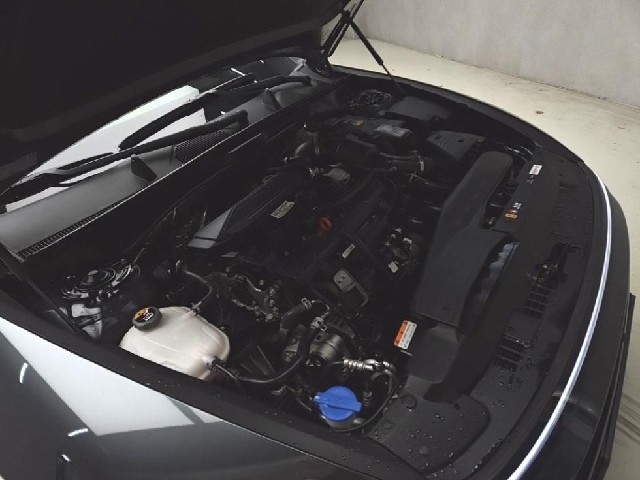 1876291cf83146288324c4385bfb45c9.jpeg