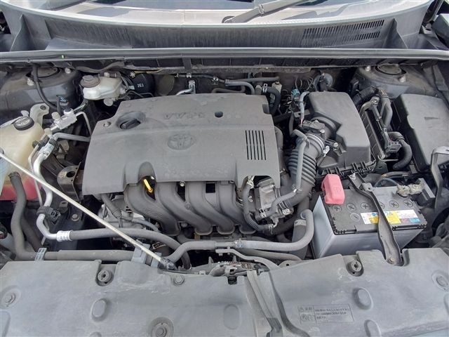 08.jpg