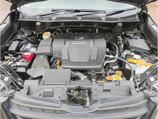 53e90d4f30f0071376c74f95b79254ef.jpg