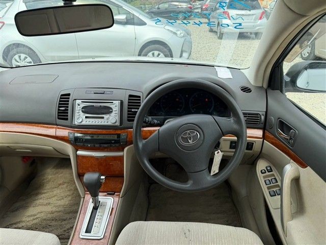 06.jpg