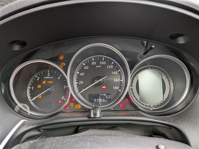 40.jpg