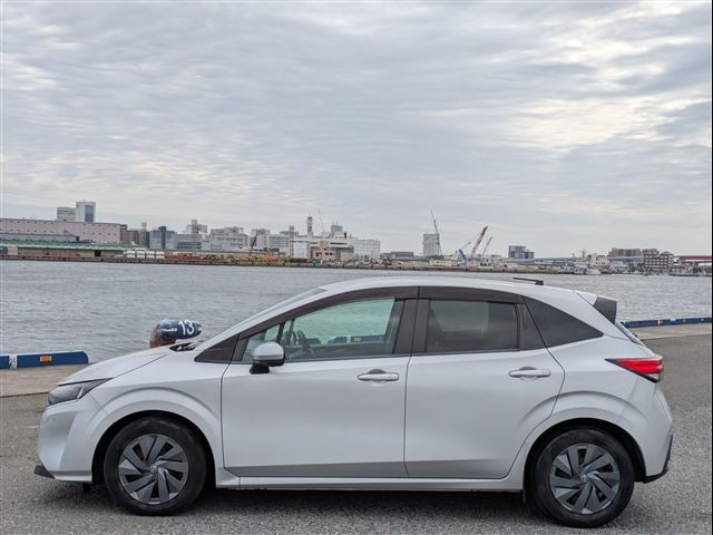 41.jpg