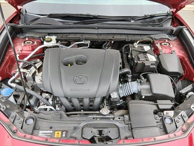 e0378e08283236c31b351273b051d503.jpg