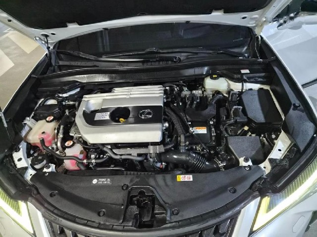 f355702e83c9ed577d70066c1fdd8334.jpeg