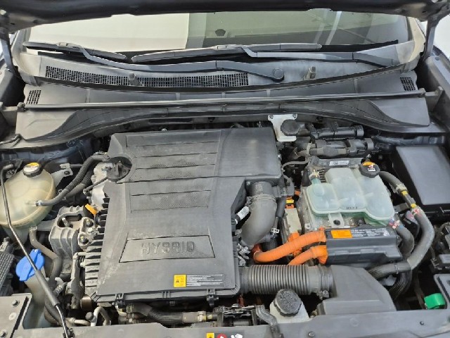 6081501294R5.jpg