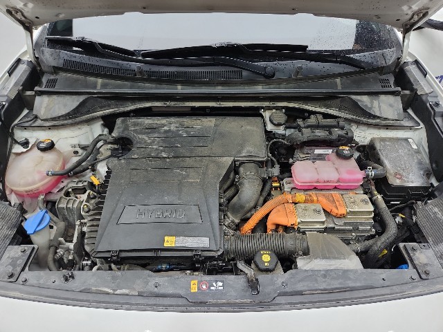 lotterental_095323582_exYPE_8.jpg