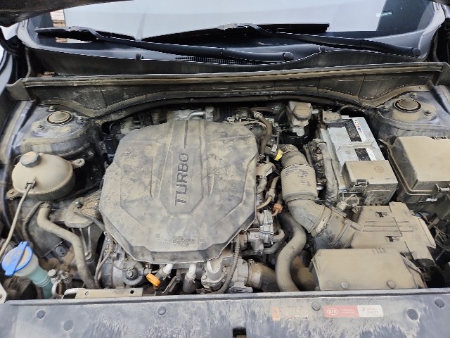 lotterental_09480508_nZ8qN_9.jpg