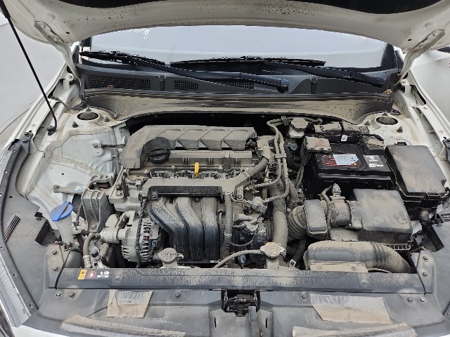 lotterental_095052699_Wc5i7_8.jpg