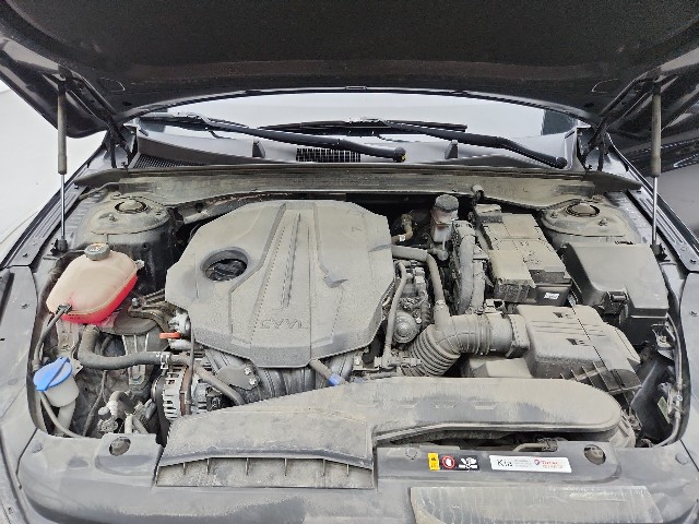 lotterental_171334868_Lk0A4_9.jpg