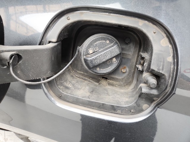 lotterental_161543156_FHPOs_6.jpg