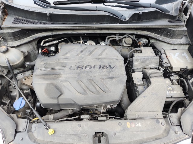 lotterental_163945448_JXrps_8.jpg
