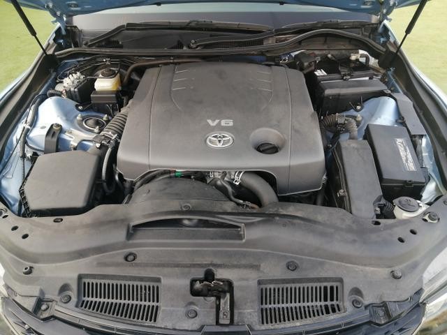 22873433_carP_l_11.jpg