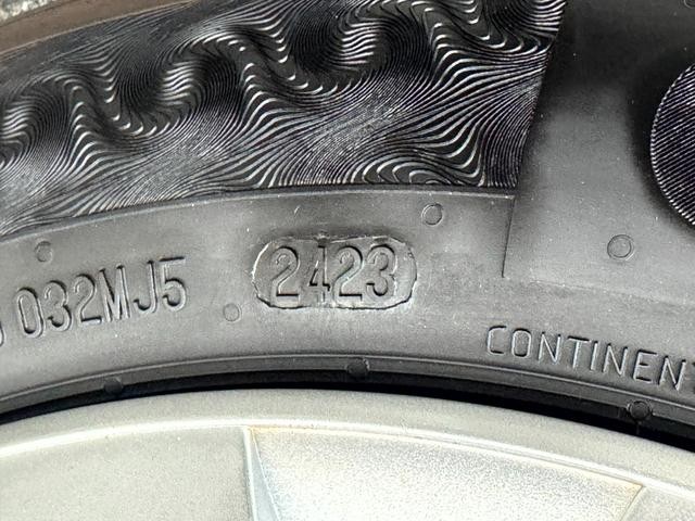 1157782A20251115W00509.jpg