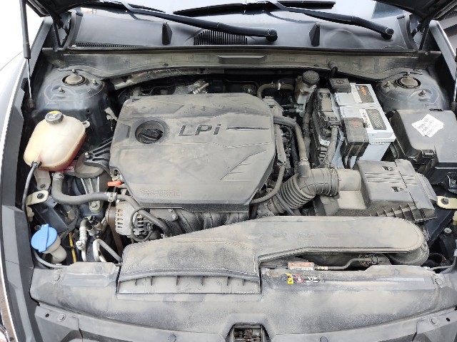 lotterental_165055870_GZ9Aw_9.jpg