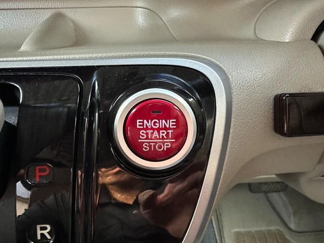 9900146A30260925W00110.jpg
